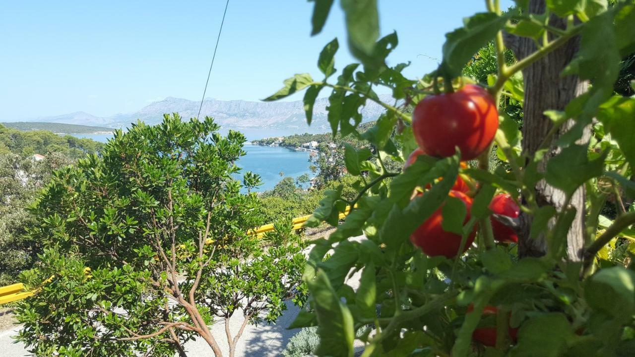 Apartment Tempera Povlja  Εξωτερικό φωτογραφία